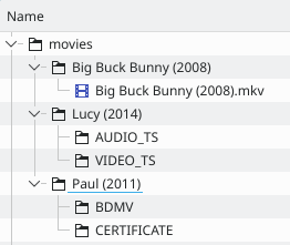 Recommended folder structure for movies.